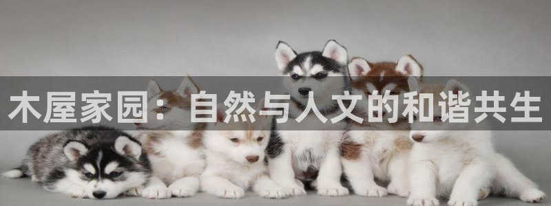 天辰娱乐指尖所