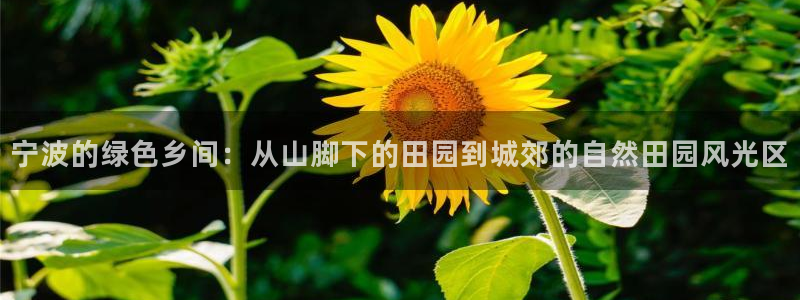 天辰娱乐游戏