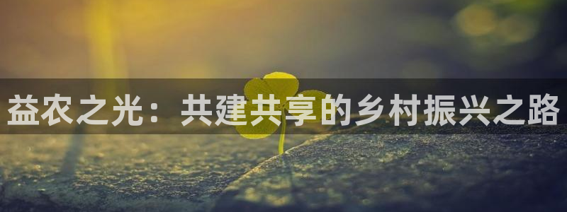 天辰娱乐黑人