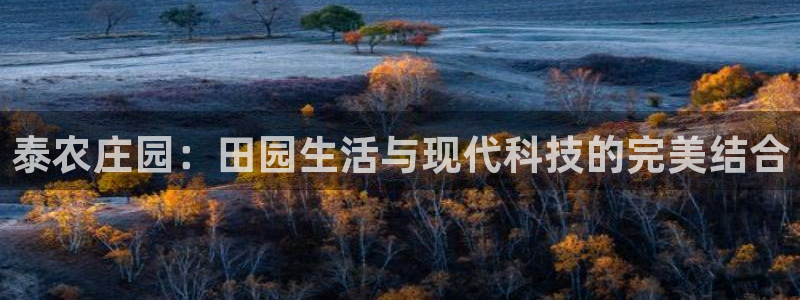 天辰娱乐老板