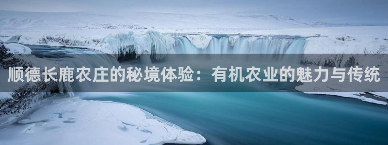 天辰娱乐557696