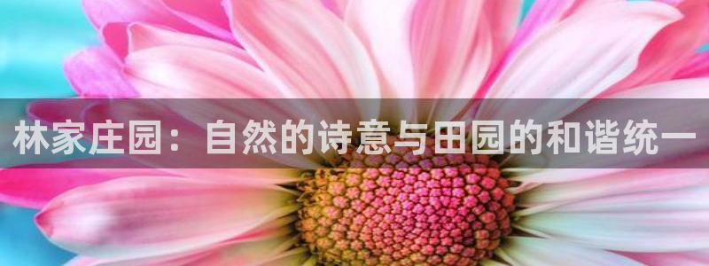 天辰娱乐扣钱