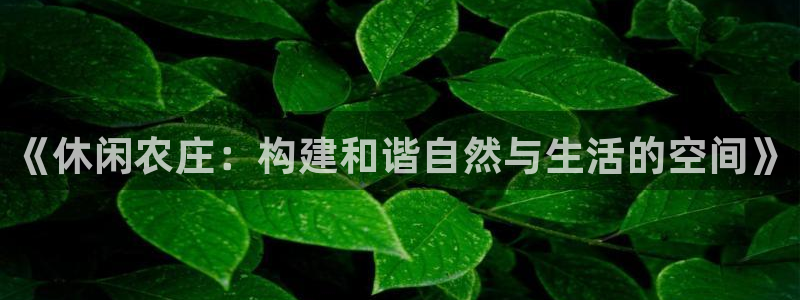 天辰娱乐娱乐