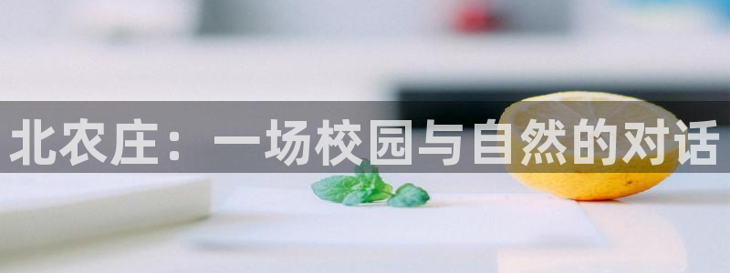 天辰娱乐服务