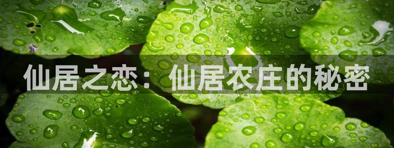 天辰娱乐 231639