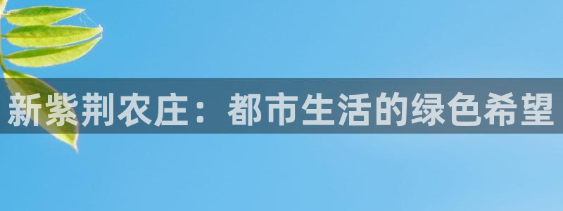 天辰娱乐平台地址