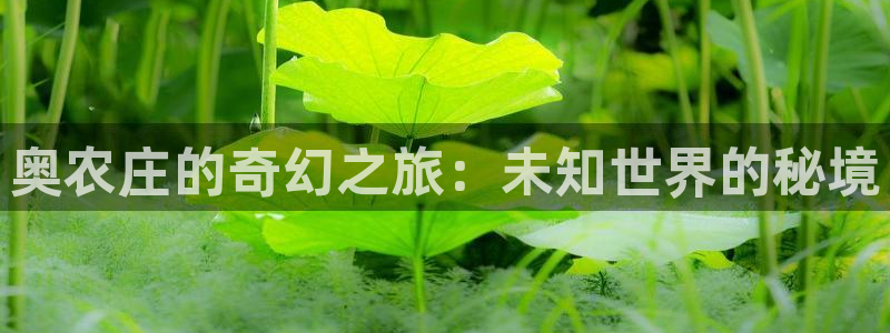 天辰娱乐 728567