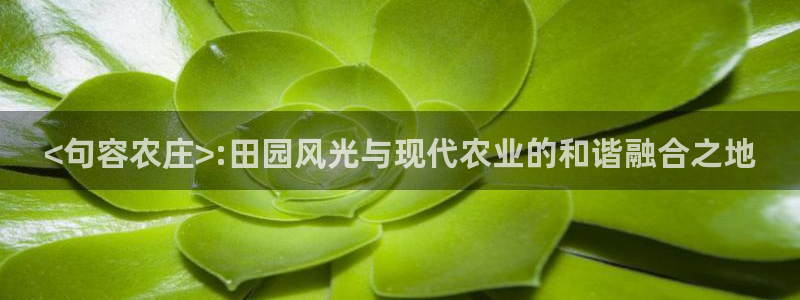 天辰娱乐维护