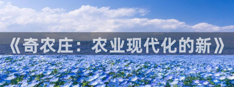 深圳天辰娱乐