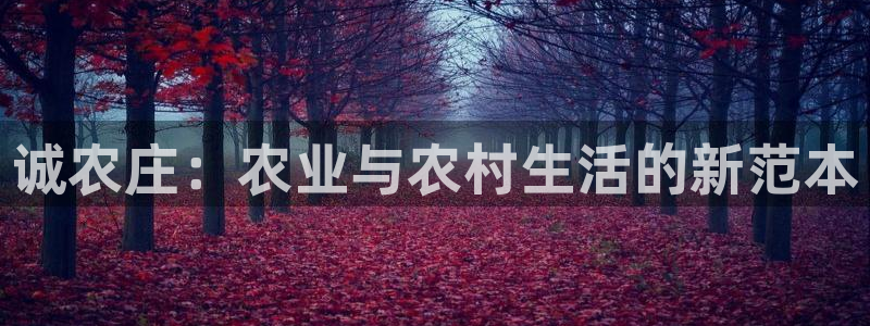 天辰宝宝娱乐