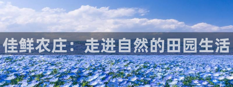 天辰娱乐675138