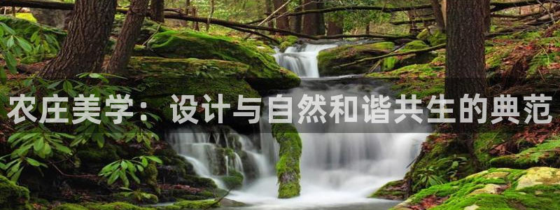 天辰娱乐主页
