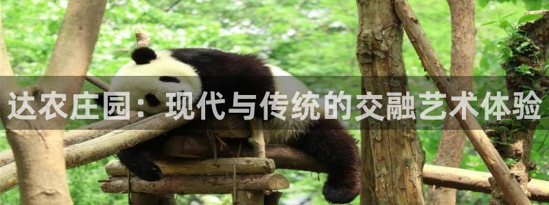 天辰娱乐元宝