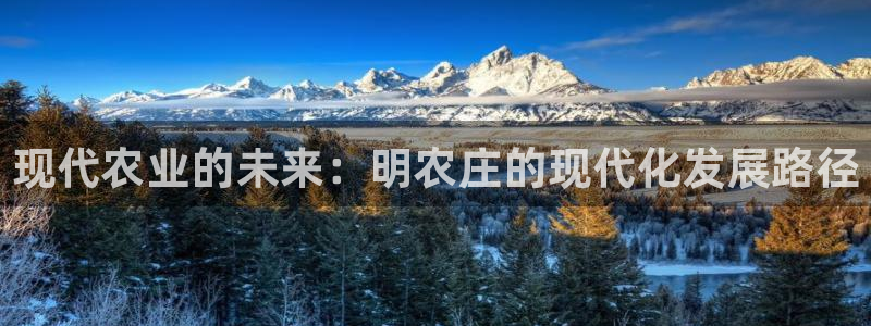 天辰娱乐44516
