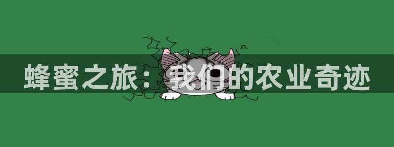 天辰国际娱乐