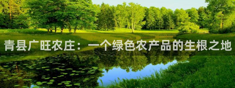 天辰娱乐ttf