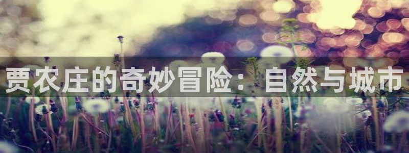 天辰娱乐总管