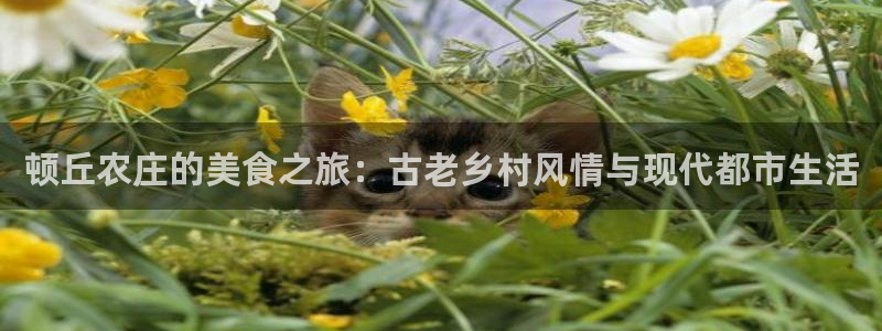 天辰娱乐平台地址