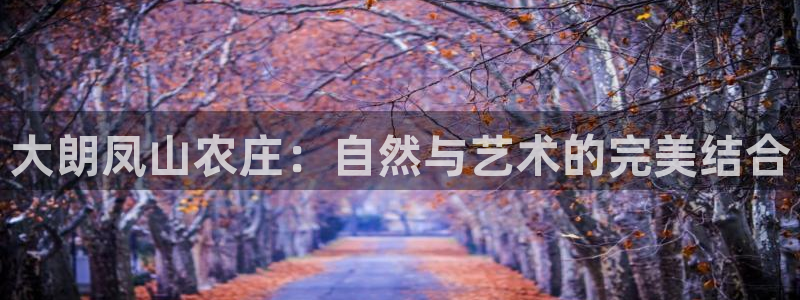 天辰娱乐总管