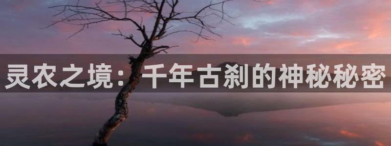 天辰娱乐黑人