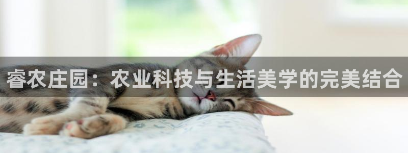 常州天辰娱乐