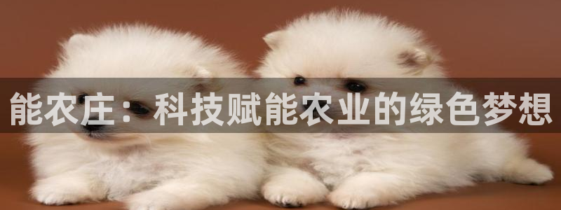 天辰娱乐登陆