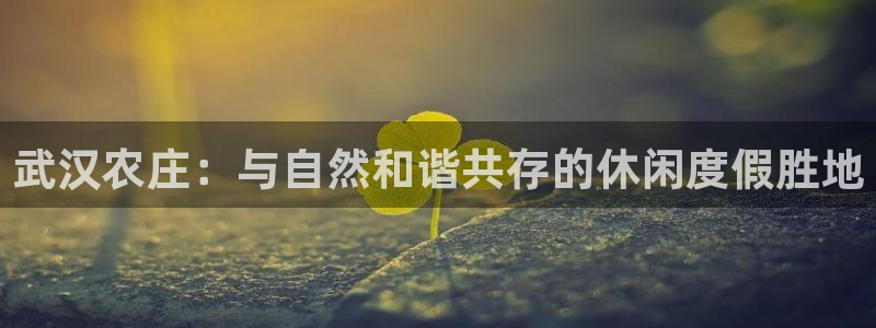 天辰app娱乐