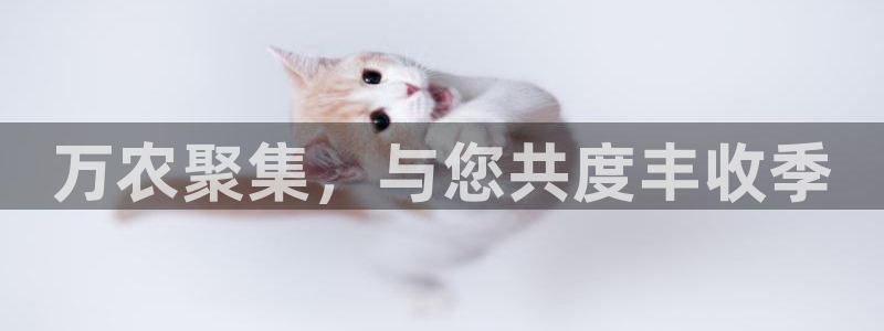 天辰娱乐 . 鱼刺