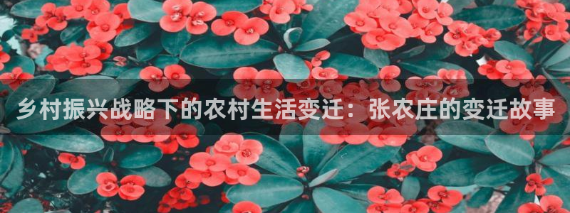 天辰娱乐在哪
