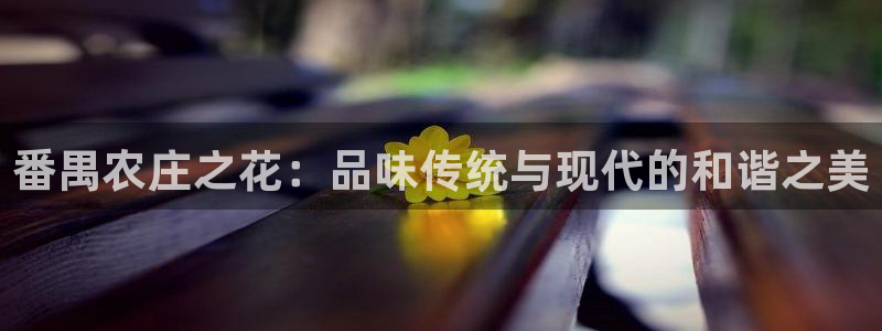 天辰娱乐维护