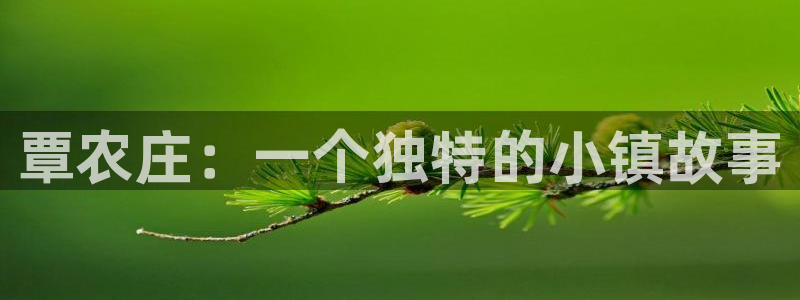 天辰娱乐输了