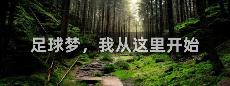 天辰娱乐APP下载
