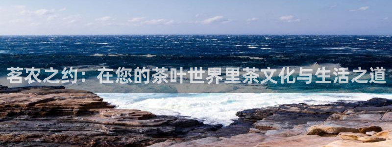 天辰娱乐股票