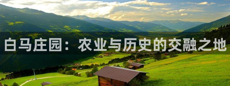 天辰娱乐主管