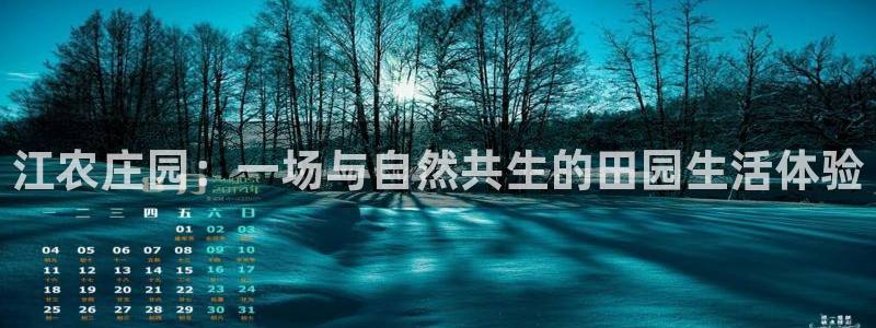 天辰娱乐股票