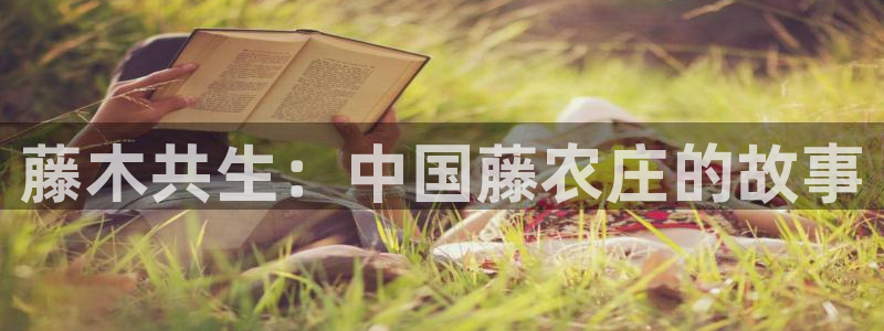天辰娱乐957807