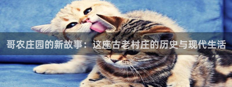 天辰娱乐官网平台入口