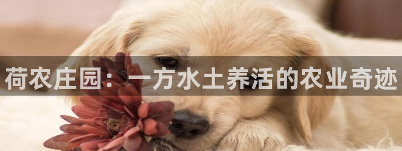徐州天辰娱乐
