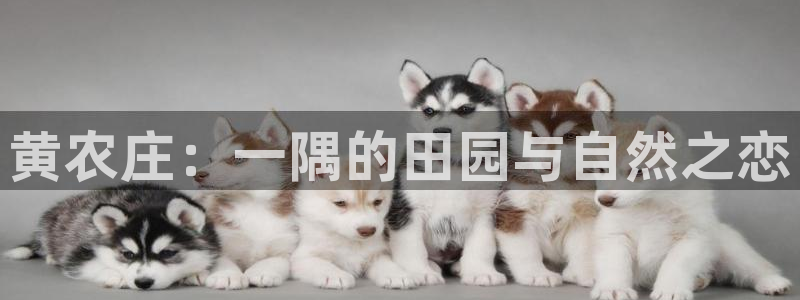 天辰 娱乐