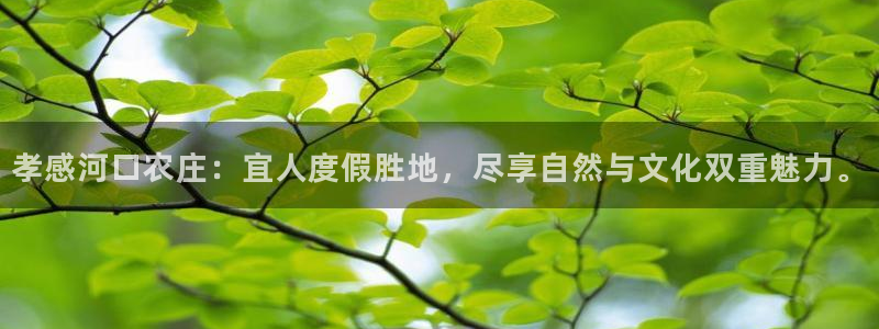 天辰娱乐957807