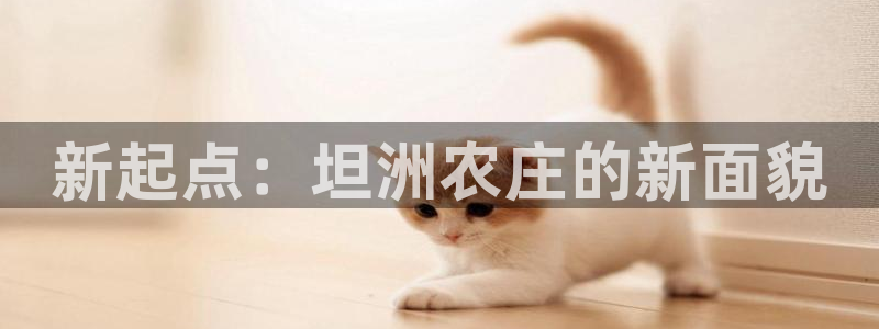 nba天辰娱乐