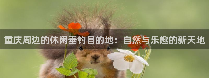 天辰娱乐反水