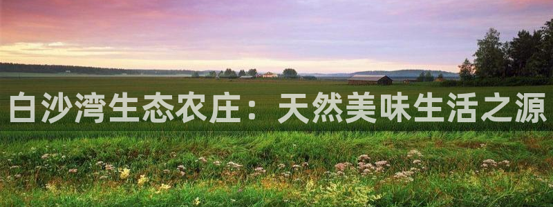 天辰娱乐直属
