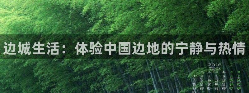 天辰娱乐平台app下载