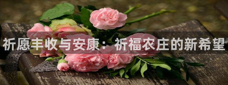 天辰娱乐-q