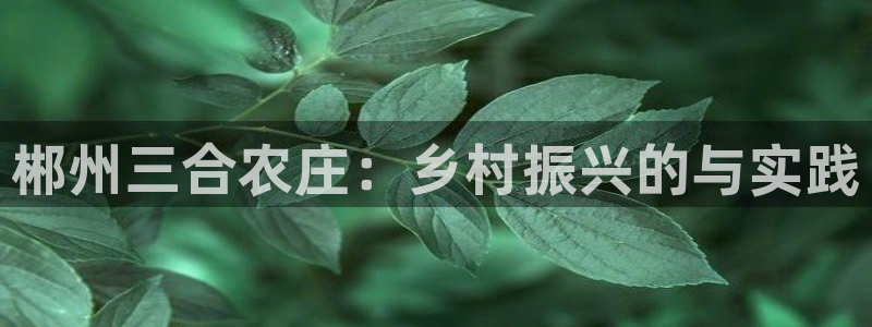 天辰娱乐天辰宝