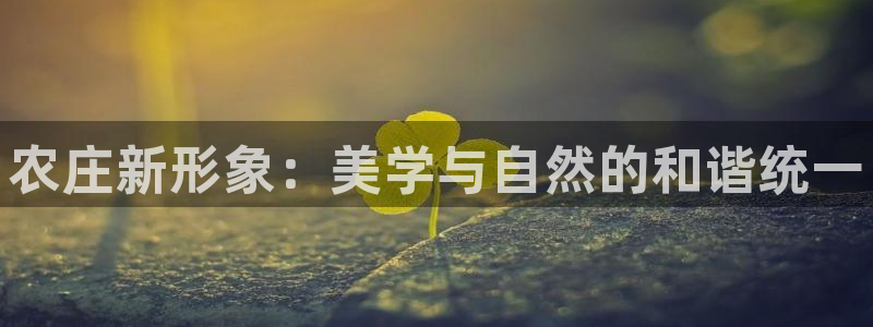 天辰娱乐下载地址