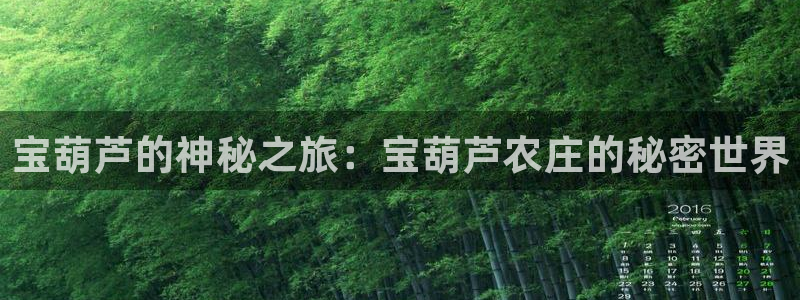 天辰娱乐国际