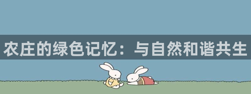 nba天辰娱乐