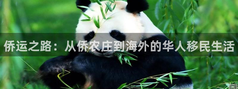 辰天娱乐